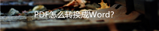 pdf怎么转换成word 怎么把word转换成pdf