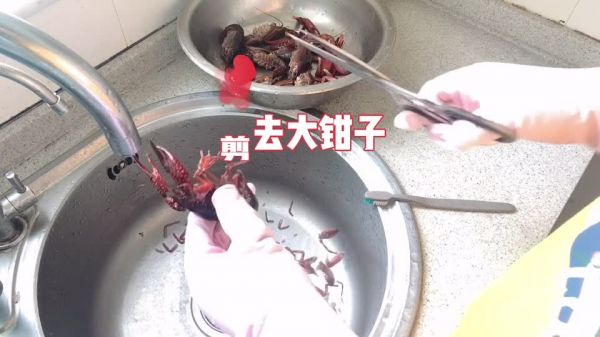 小龙虾怎么清洗和处理 怎样快速清洗小龙虾