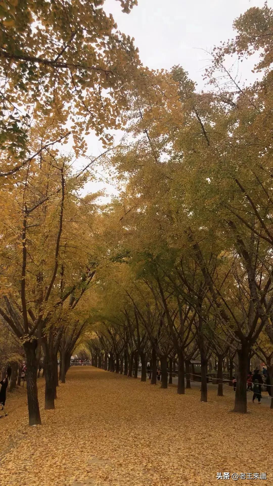 徐州明天天气 徐州未来40天天气