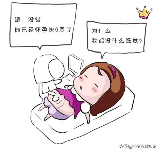 nt检查是什么 怀孕nt检查一般多少钱