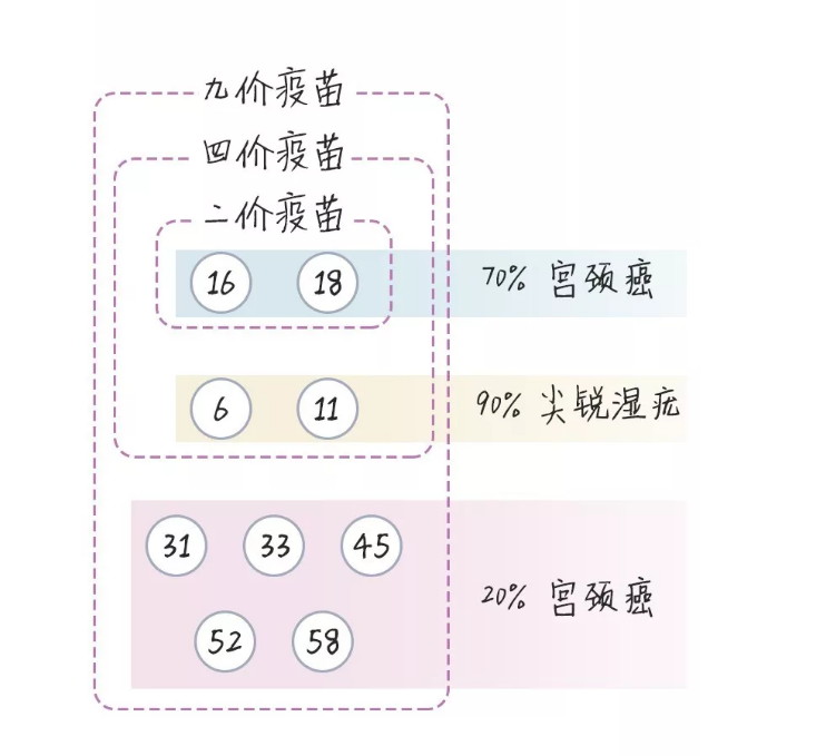 hpv疫苗二价四价九价区别 四价真的没有二价好吗