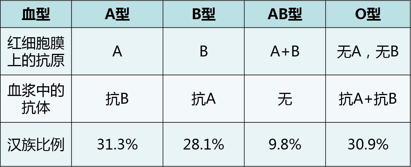 rh血型阳性是什么意思 