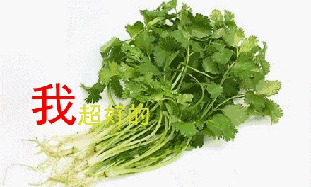 今天是什么节 今天黄历日子怎么样