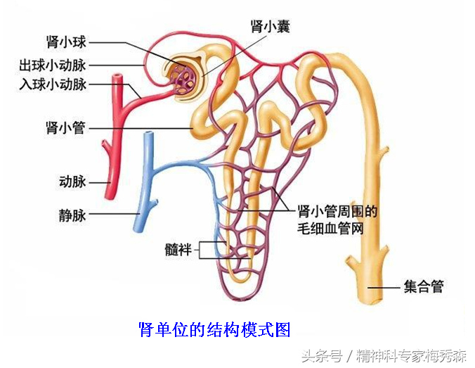 尿频尿急尿不尽是什么原因造成的 一直有尿意是怎么回事