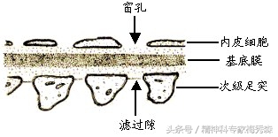 尿频尿急尿不尽是什么原因造成的 一直有尿意是怎么回事