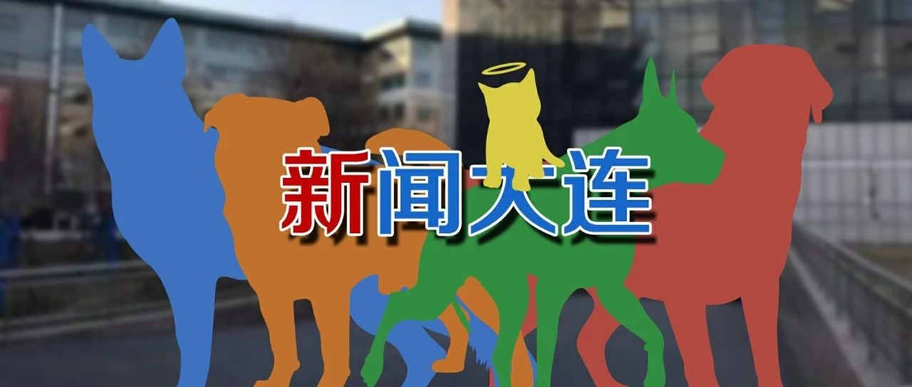 大连民族大学 大连民族是几本