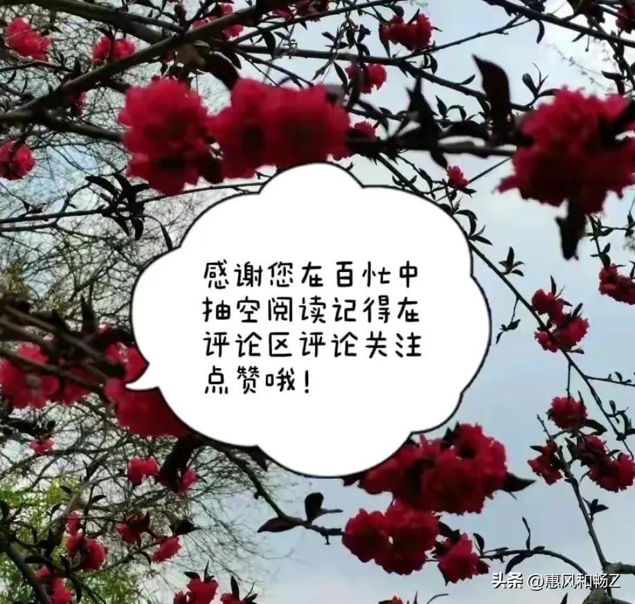 冰心原名叫什么名字 冰心的个人资料