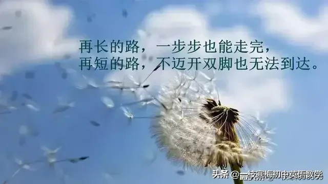 body是什么意思 my body什么意思