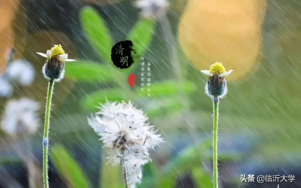 清明时节雨纷纷 欲断魂