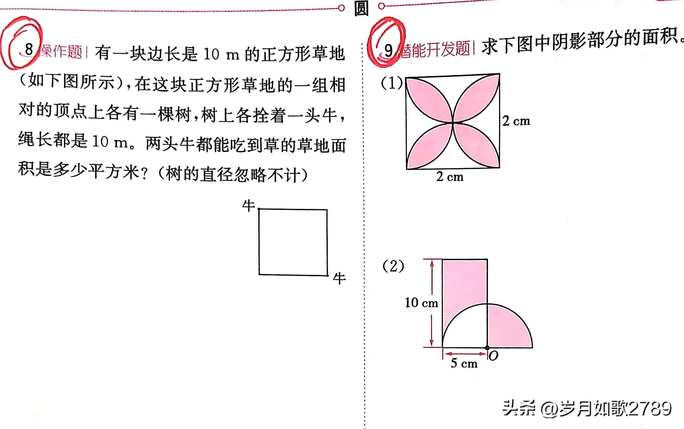 圆的面积怎么算 求圆的面积公式