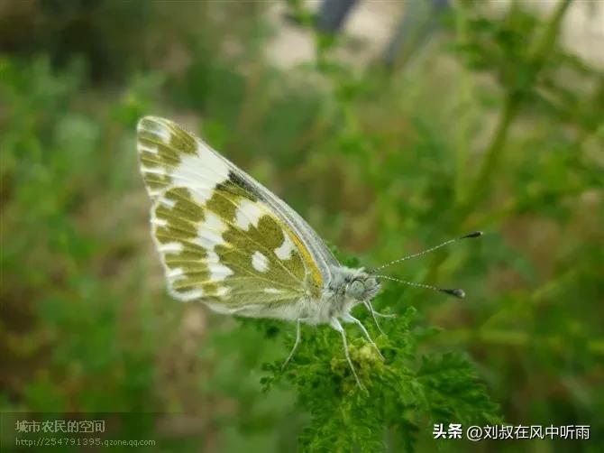 甘肃属于哪个省 甘肃是哪里的省份