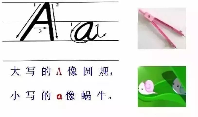 26个英文字母大小写 26个英文字母怎么读