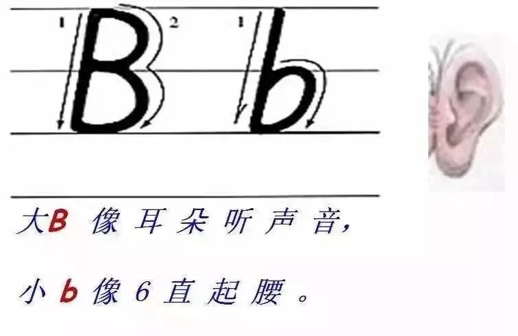 26个英文字母大小写 26个英文字母怎么读