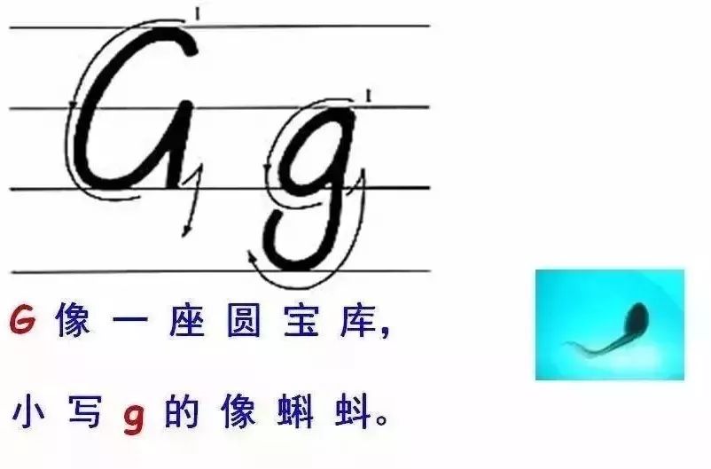 26个英文字母大小写 26个英文字母怎么读