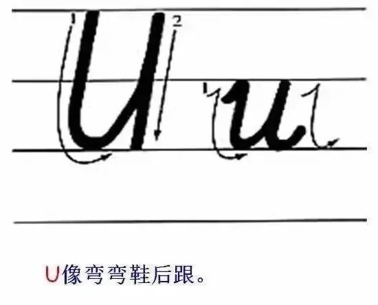 26个英文字母大小写 26个英文字母怎么读