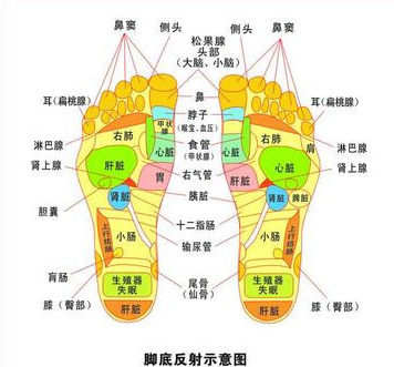 脚底穴位图 脚底穴位图高清