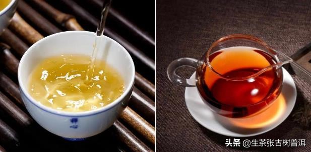 普洱生茶和熟茶的区别 普洱生茶的功效与作用