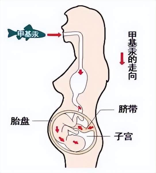 孕妇十大禁忌蔬菜 七大孕期禁忌