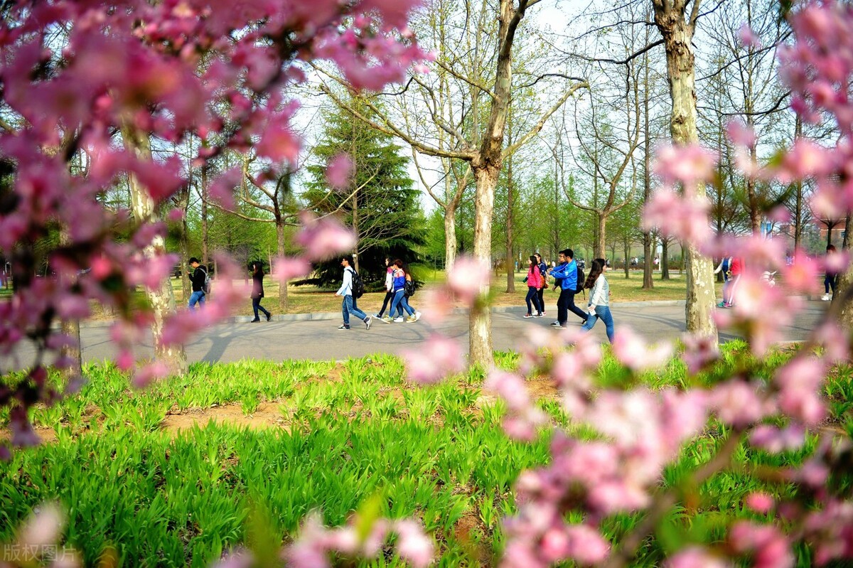 青岛有哪些大学 青岛大学分数线