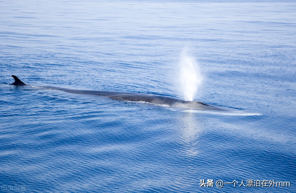 搁浅是什么意思 死亡搁浅steam多少钱