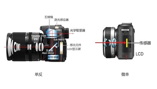 微单和单反的区别 入门用微单还是单反