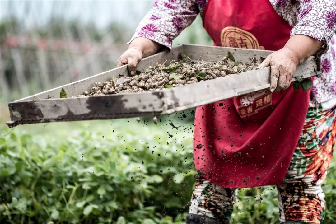 墨客是什么意思 墨客现在的意思