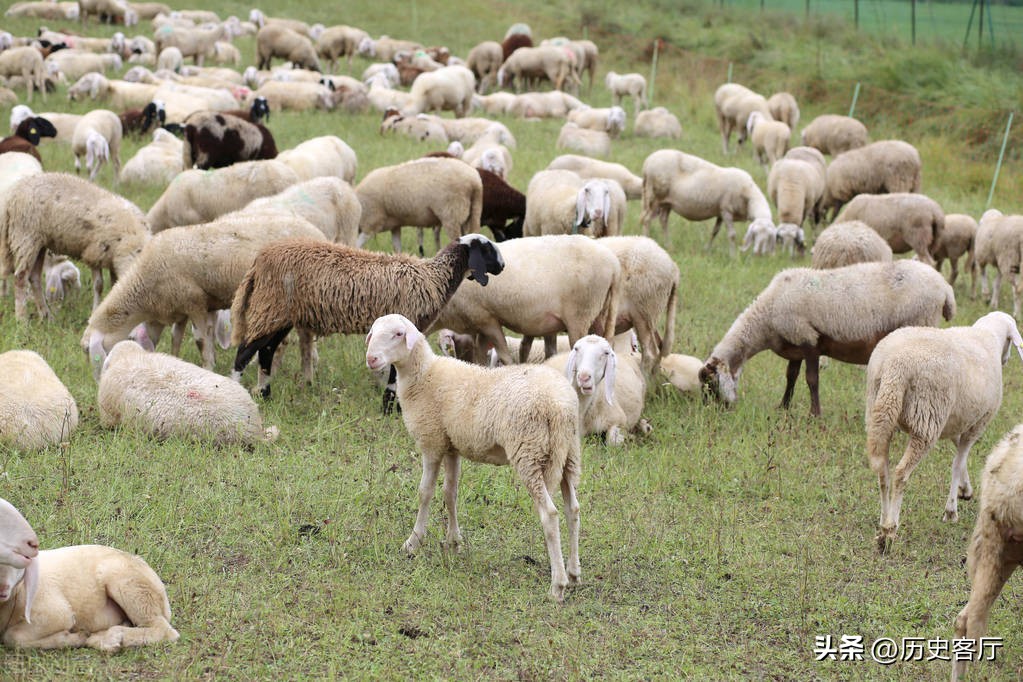 吃什么可以偷偷流产 吃什么东西可以流产