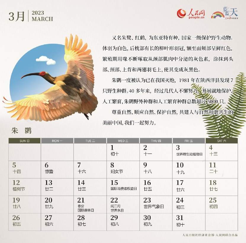 6月5日是世界什么日 6月5日是我国的什么日