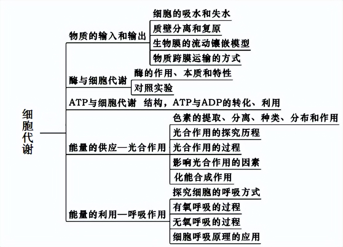 光合作用反应式 初一光合作用知识点