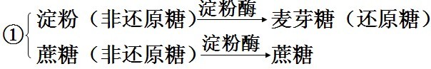 光合作用反应式 初一光合作用知识点