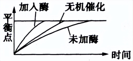 光合作用反应式 初一光合作用知识点