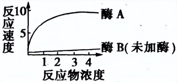 光合作用反应式 初一光合作用知识点