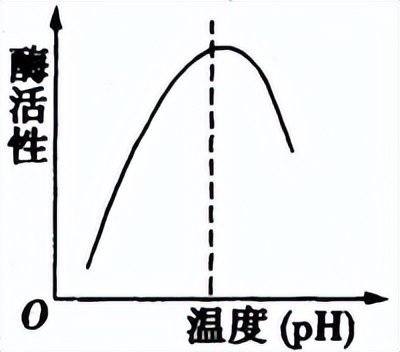 光合作用反应式 初一光合作用知识点