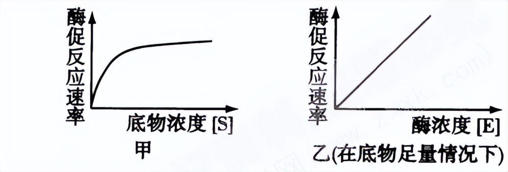 光合作用反应式 初一光合作用知识点