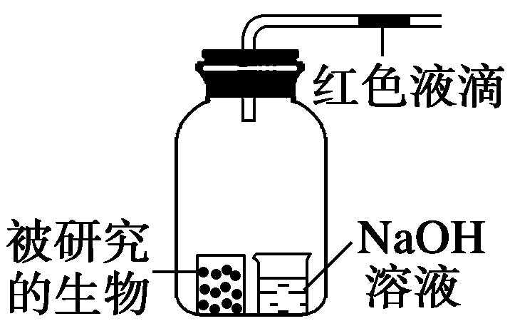 光合作用反应式 初一光合作用知识点