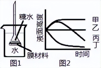 光合作用反应式 初一光合作用知识点