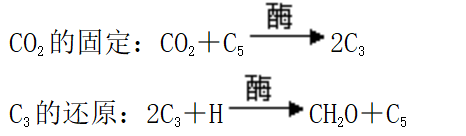 光合作用反应式 初一光合作用知识点