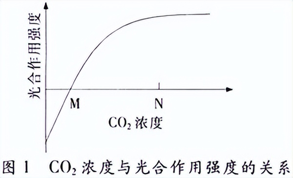 光合作用反应式 初一光合作用知识点