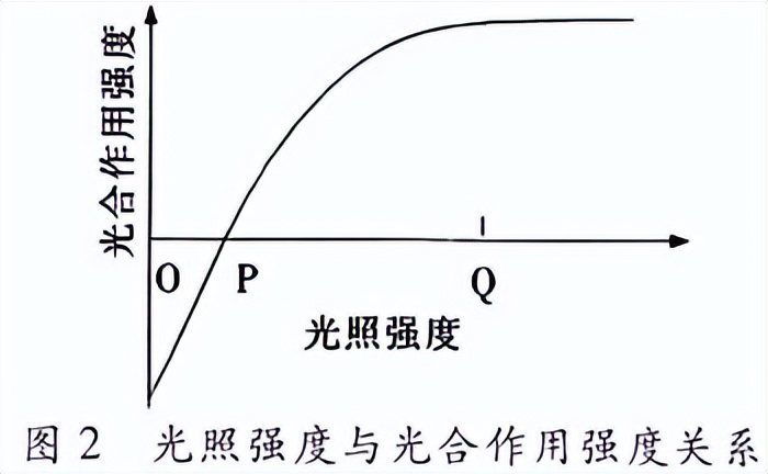 光合作用反应式 初一光合作用知识点