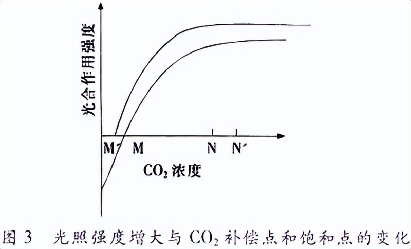 光合作用反应式 初一光合作用知识点