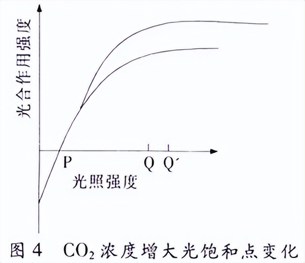 光合作用反应式 初一光合作用知识点