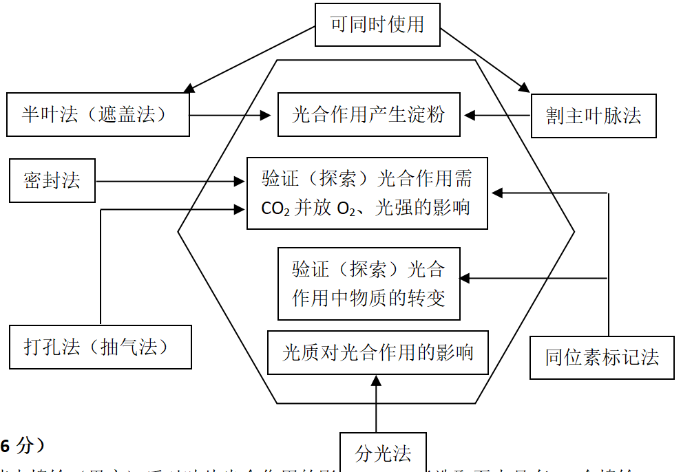 光合作用反应式 初一光合作用知识点