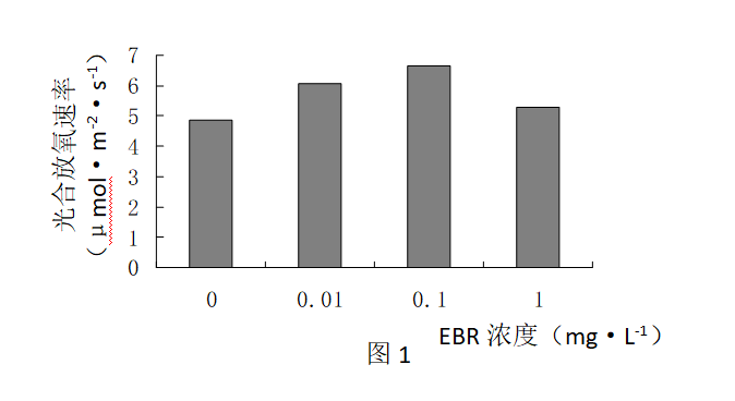 光合作用反应式 初一光合作用知识点