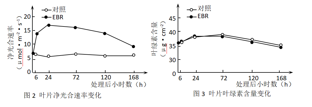 光合作用反应式 初一光合作用知识点