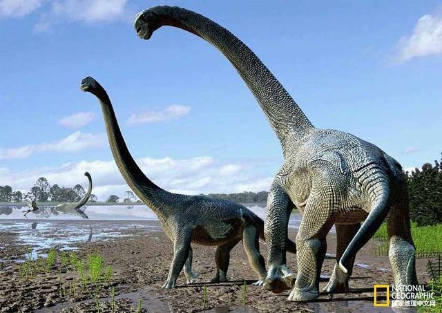 恐龙的种类 恐龙的种类图
