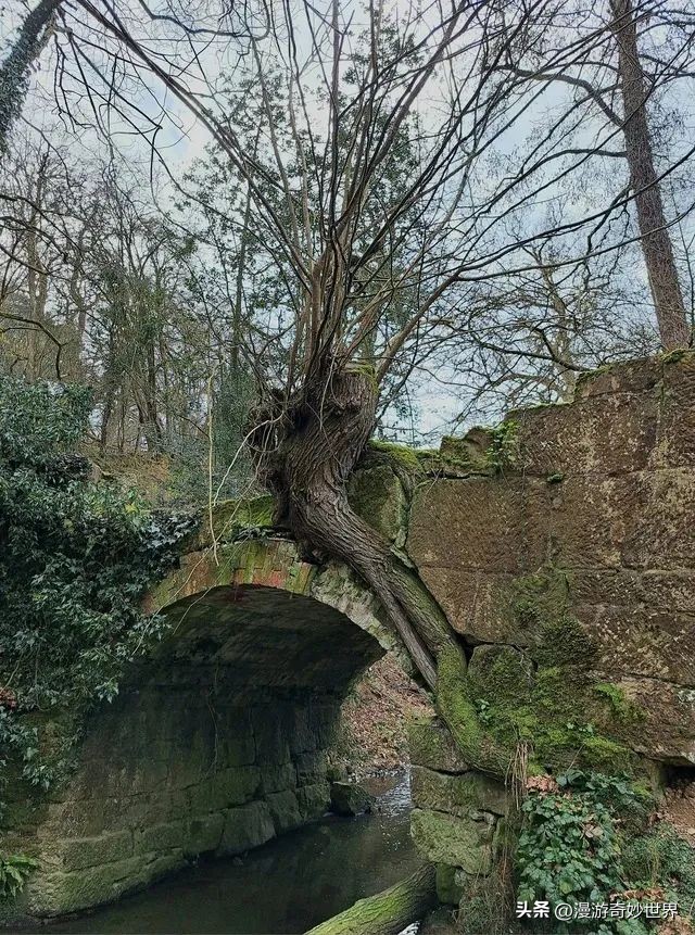 真实风景图片 美丽的风景照片