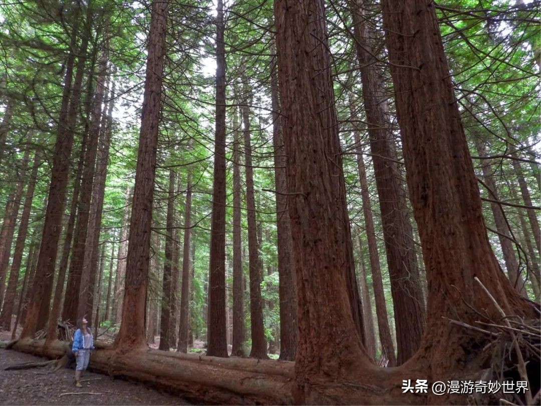 真实风景图片 美丽的风景照片