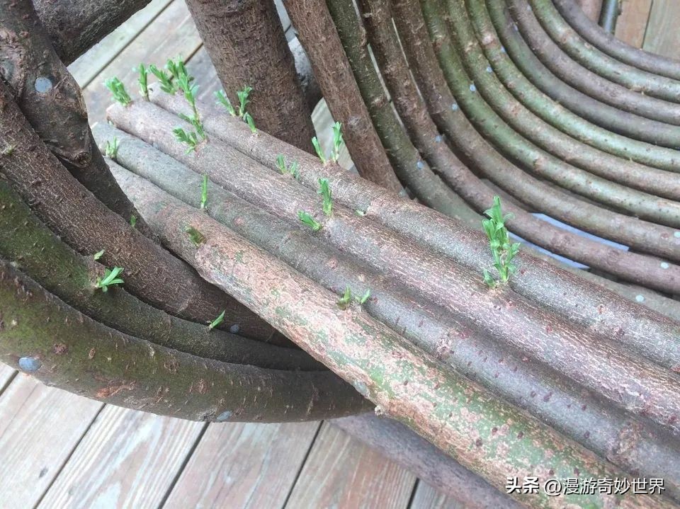 真实风景图片 美丽的风景照片