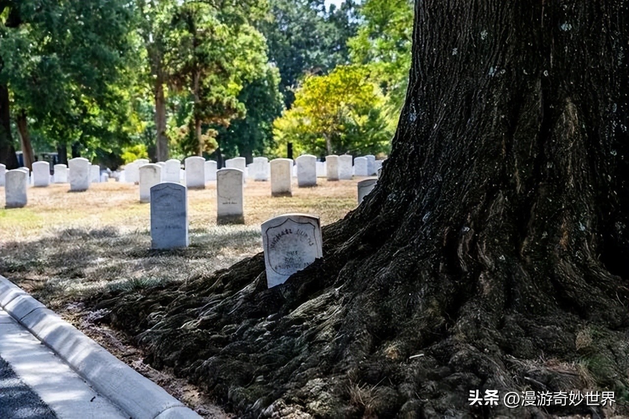 真实风景图片 美丽的风景照片