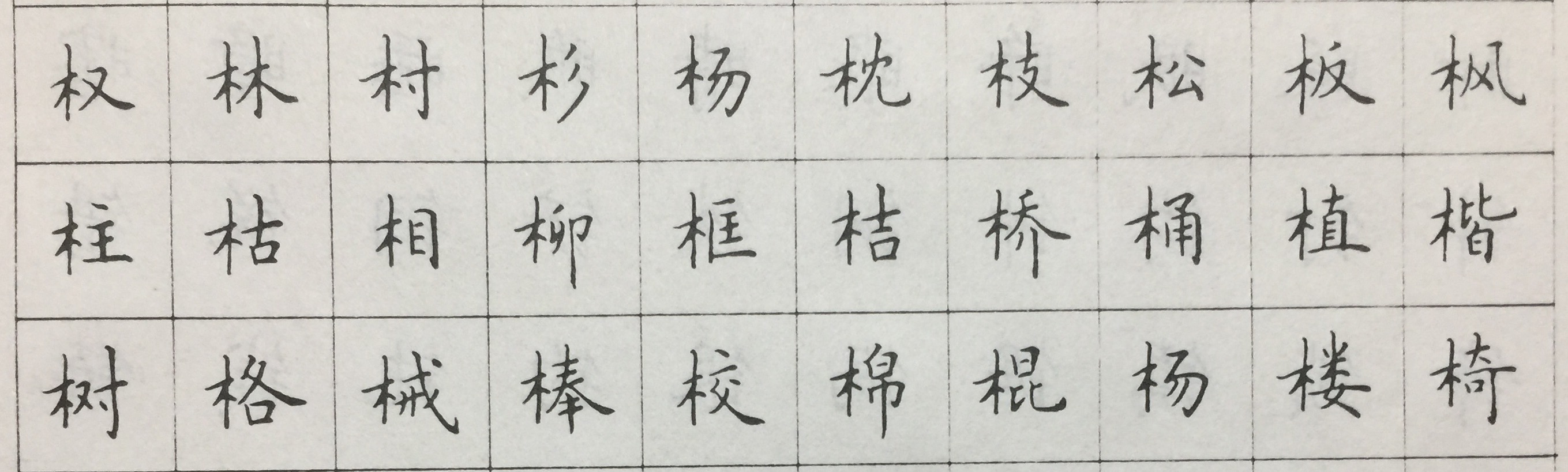 木字旁的字有哪些 木字旁的名字大全